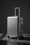 Rimowa Essential Cabin Trolley Silver